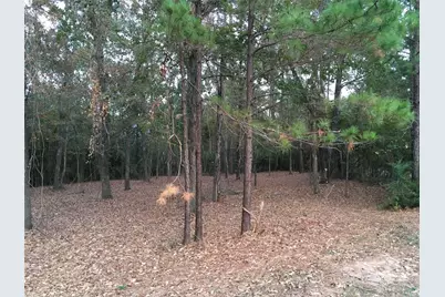 1930 Autumn Ridge Drive Drive, Conroe, TX 77304 - Photo 4