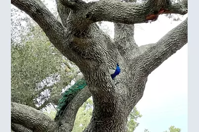 1518 County Road 307, El Campo, TX 77437 - Photo 34