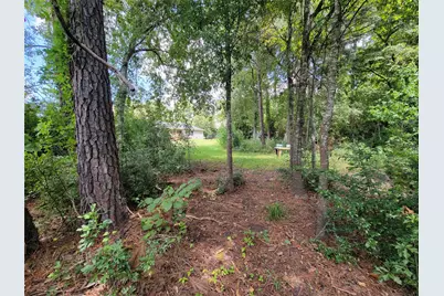 0 Tri Lakes Rd, Montgomery, TX 77316 - Photo 14