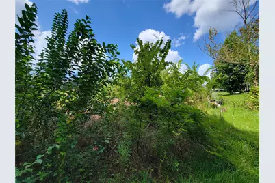 0 Tri Lakes Rd, Montgomery, TX 77316 - Photo 16