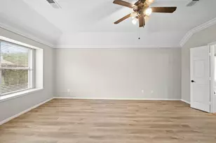 3907 Plum Hill Ln, Missouri City, TX 77459 - Photo 18