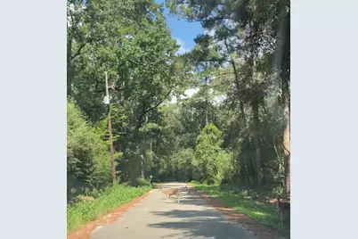 Tbd Cimmaron Drive, Stagecoach, TX 77355 - Photo 2