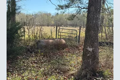 642 County Road 2112, Liberty, TX 77575 - Photo 8