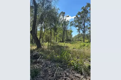 1520 Fm 160 Road N, Liberty, TX 77575 - Photo 4