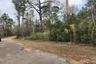 14709 Bimbo Ln, Conroe, TX 77302 - Photo 6