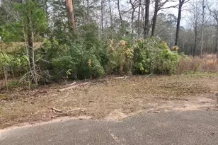 14709 Bimbo Ln, Conroe, TX 77302 - Photo 8