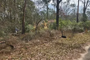 14709 Bimbo Ln, Conroe, TX 77302 - Photo 12