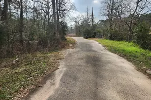 14709 Bimbo Ln, Conroe, TX 77302 - Photo 2