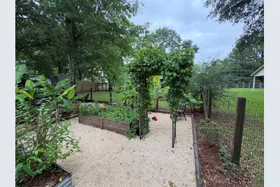 251 Mudd Street, Coldspring, TX 77331 - Photo 12
