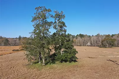 Tbd Lakeland, Hillister, TX 77624 - Photo 12