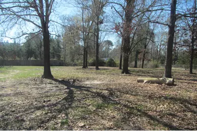 1153 Easy Street Road, Livingston, TX 77351 - Photo 6