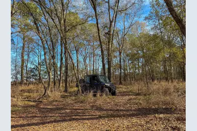 0000 Hwy 61, Devers, TX 77538 - Photo 20