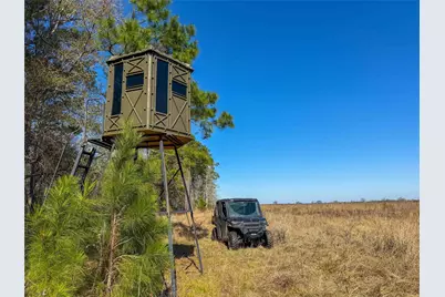 0000 Hwy 61, Devers, TX 77538 - Photo 8