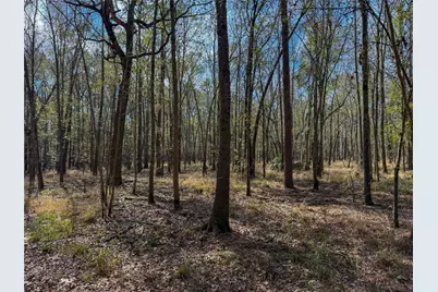 0000 Hwy 61, Devers, TX 77538 - Photo 18