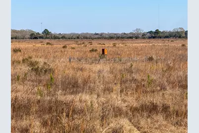 0000 Hwy 61, Devers, TX 77538 - Photo 10
