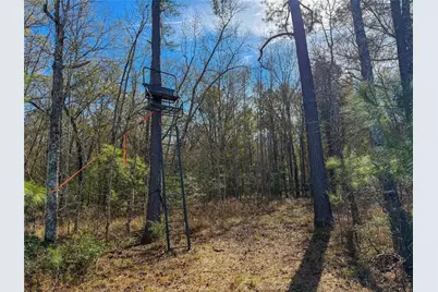 0000 Hwy 61, Devers, TX 77538 - Photo 16