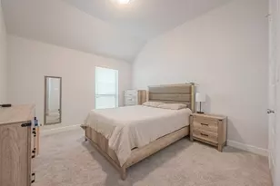 29042 Hauter Wy, Fulshear, TX 77441 - Photo 24
