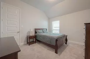 29042 Hauter Wy, Fulshear, TX 77441 - Photo 22
