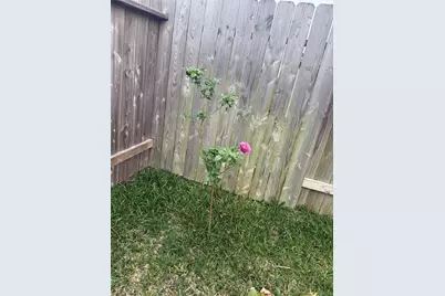 30011 Ousel Falls Lane, Katy, TX 77494 - Photo 20