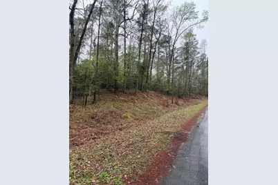 Lot 39, 40 & 41 S Lakeview Drive, Point Blank, TX 77364 - Photo 24