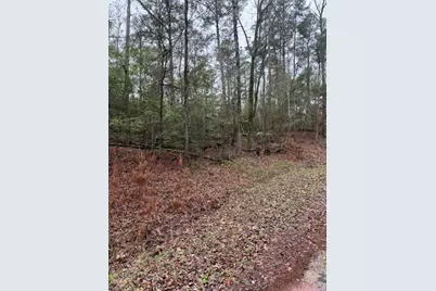 Lot 39, 40 & 41 S Lakeview Drive, Point Blank, TX 77364 - Photo 26