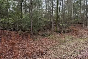 Lot 39 40 & 41 S Lakeview Dr, Point Blank, TX 77364 - Photo 26