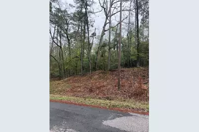 Lot 39, 40 & 41 S Lakeview Drive, Point Blank, TX 77364 - Photo 4