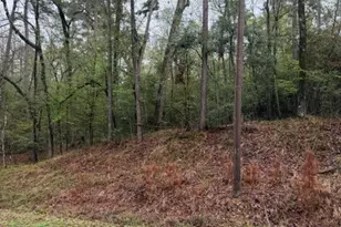 Lot 39 40 & 41 S Lakeview Dr, Point Blank, TX 77364 - Photo 4