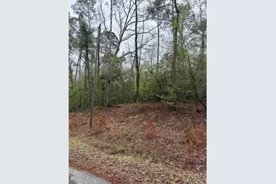 Lot 39, 40 & 41 S Lakeview Drive, Point Blank, TX 77364 - Photo 18