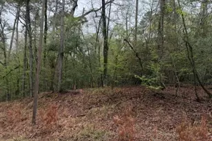 Lot 39 40 & 41 S Lakeview Dr, Point Blank, TX 77364 - Photo 18