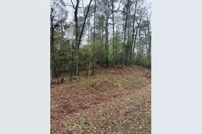 Lot 39, 40 & 41 S Lakeview Drive, Point Blank, TX 77364 - Photo 20