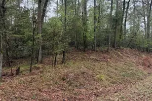 Lot 39 40 & 41 S Lakeview Dr, Point Blank, TX 77364 - Photo 20