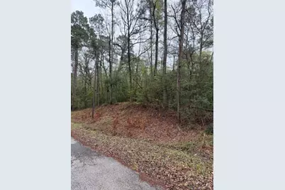 Lot 39, 40 & 41 S Lakeview Drive, Point Blank, TX 77364 - Photo 10