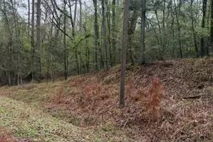 Lot 39 40 & 41 S Lakeview Dr, Point Blank, TX 77364 - Photo 28