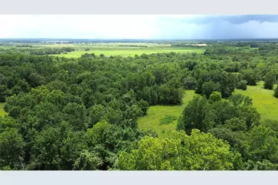 Tract 1 County Road 2065, Crockett, TX 75835 - Photo 6