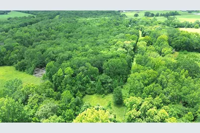 Tract 1 County Road 2065, Crockett, TX 75835 - Photo 12