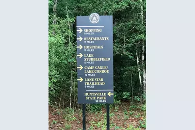 5-25-19 Feldspar Lane, Huntsville, TX 77340 - Photo 18