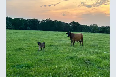 1 Highway 7 West, Crockett, TX 75835 - Photo 6