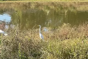 1525 Ramada Dr, Houston, TX 77062 - Photo 24