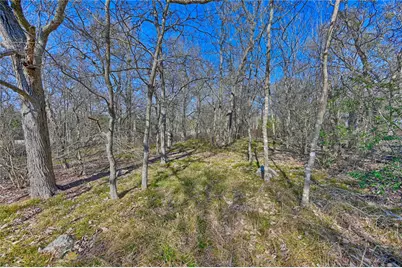 3482 Janner Kuecker Lane, Brenham, TX 77833 - Photo 12