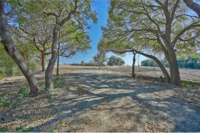 3482 Janner Kuecker Lane, Brenham, TX 77833 - Photo 4