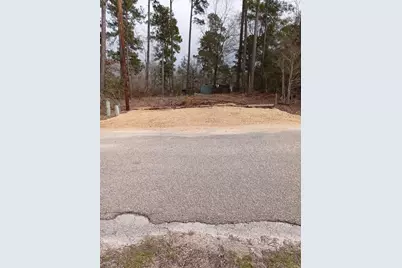 Lot 5 Impala Drive, Onalaska, TX 77360 - Photo 6