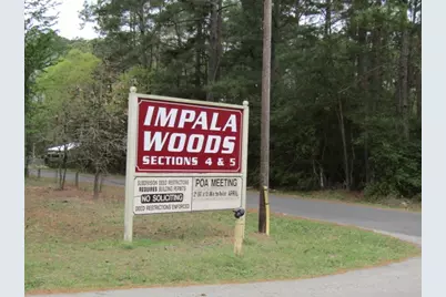 Lot 5 Impala Drive, Onalaska, TX 77360 - Photo 2