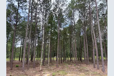 13660 Armstrong Street, Conroe, TX 77303 - Photo 2