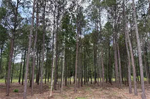 13660 Armstrong St, Conroe, TX 77303 - Photo 2