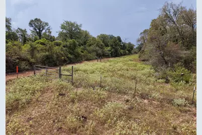 38021 Wiggins Road, Hempstead, TX 77445 - Photo 6