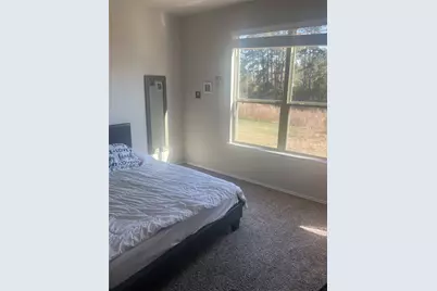 10669 N Lake Road, Montgomery, TX 77316 - Photo 6