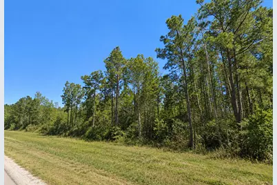 11631 Grand North Road, Willis, TX 77358 - Photo 4