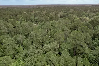 Lot 08 Oak Drive, Trinity, TX 75862 - Photo 16