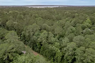 Lot 08 Oak Drive, Trinity, TX 75862 - Photo 12